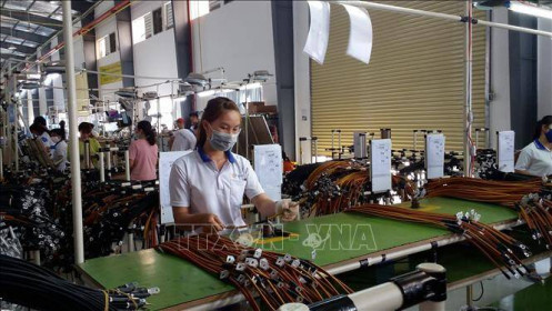 Australia đánh giá triển vọng đầu tư kinh doanh ở Bà Rịa-Vũng Tàu