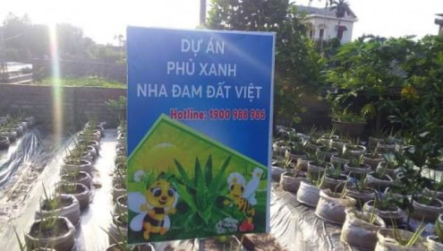 Hải Dương: Yêu cầu Công ty CP Biobee - Việt Pháp tạm dừng việc bán cây giống nha đam