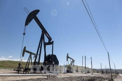 Liệu OPEC+ có tăng mạnh sản lượng để bình ổn giá dầu?