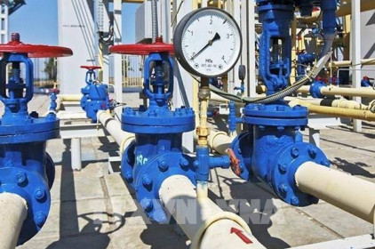 Nga mong muốn một thị trường năng lượng ổn định