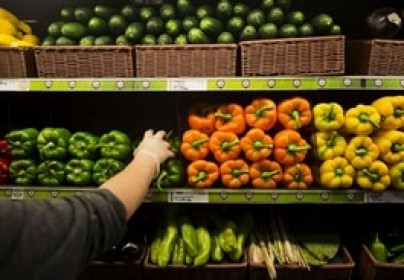 Giá thực phẩm toàn cầu tiến sát mức kỷ lục