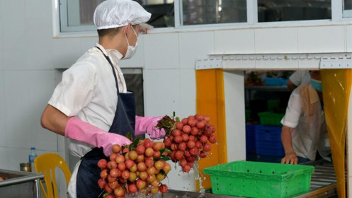 Quy định mới doanh nghiệp cần biết khi xuất khẩu nông sản sang Trung Quốc