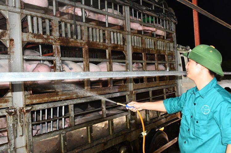 Bỏ 400 triệu USD nhập khẩu thịt lợn: Dân Việt ăn hàng từ Thái tới Brazil