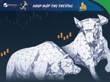 Nhịp đập Thị trường 08/11: Thanh khoản tiếp tục sôi động