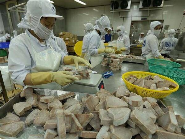 Xuất khẩu thủy sản có tín hiệu hồi phục