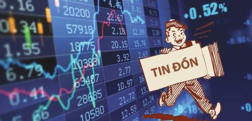 Hội chứng đầu tư "đu" theo tin đồn