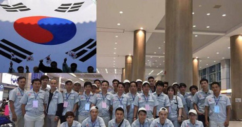 Hàn Quốc tạm dừng tiếp nhận lao động từ 10 quận, huyện của Việt Nam
