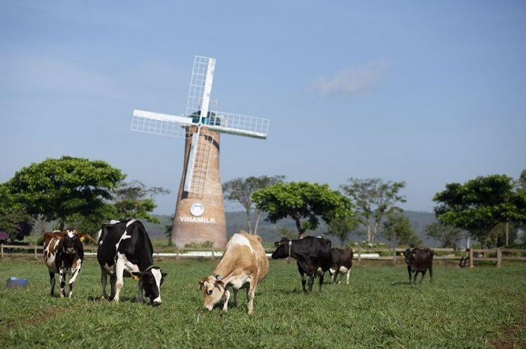 Vinamilk ra mắt sữa tươi Organic ‘tiêu chuẩn kép’ trong triển lãm quốc tế hàng đầu tại Thượng Hải