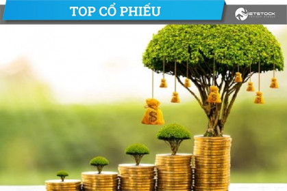 Top cổ phiếu đáng chú ý đầu phiên 11/11