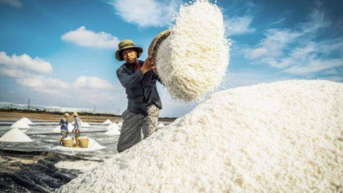 Đề xuất gần 1.200 tỷ đồng vực dậy ngành muối, nâng cao giá trị hạt muối