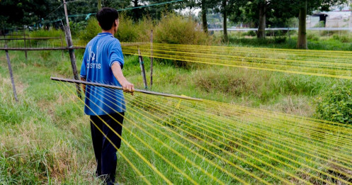 Độc lạ nghề 'chạy là có tiền' ở Sài Gòn