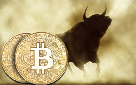 Giá Bitcoin hôm nay 12/11: Bitcoin đi ngang, thị trường hồi phục