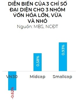 Dòng tiền vẫn chưa vào nhóm vốn hóa lớn