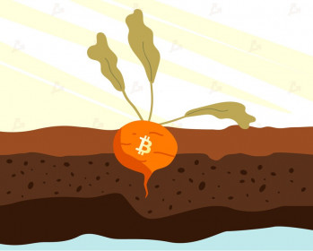 Giá Bitcoin hôm nay ngày 12/11: Giới đầu tư kỳ vọng bản nâng cấp Taproot sẽ đem đến luồng gió mới cho Bitcoin