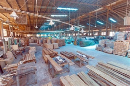 Mảng kinh doanh gỗ đẩy lợi nhuận ròng Phú Tài tăng 66% trong quý 3