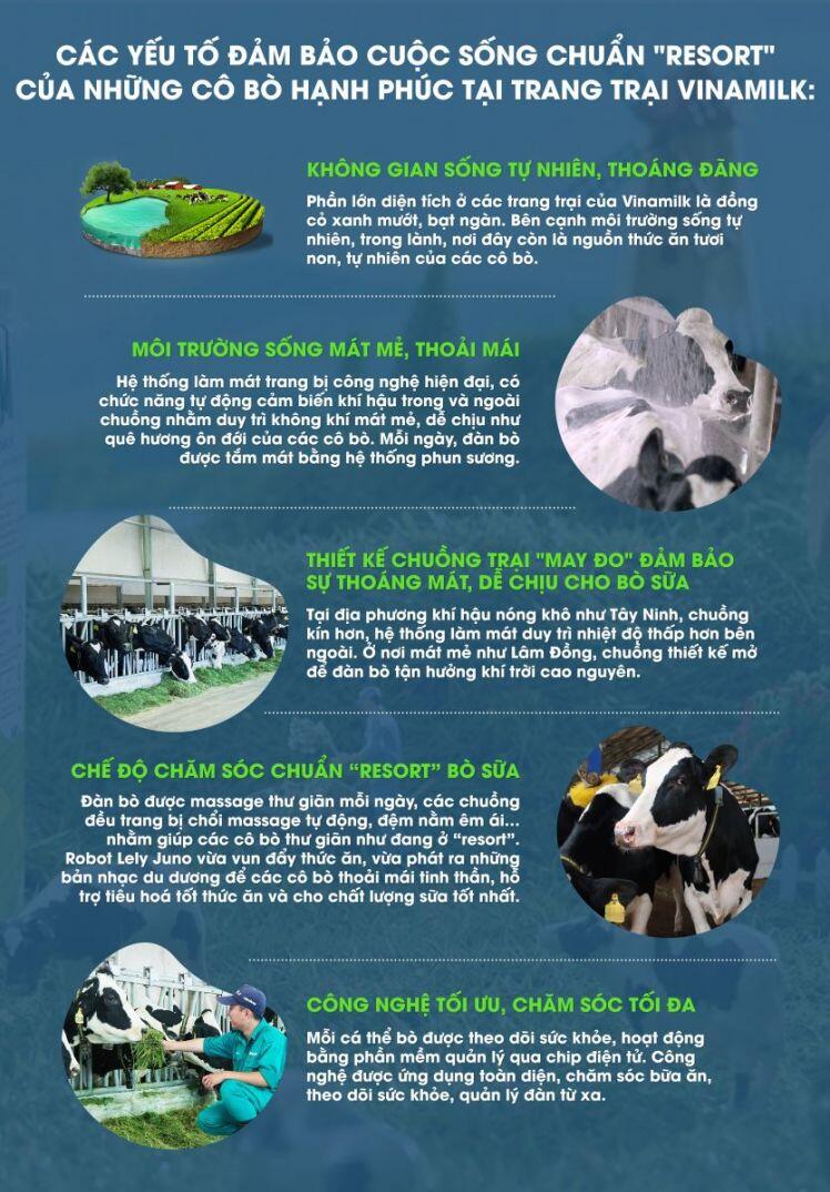 Các “resort” bò sữa triệu đô và bộ sưu tập tiêu chuẩn quốc tế của Vinamilk