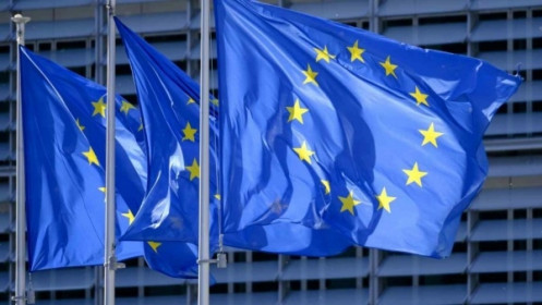EU tung chiến lược kết nối kỹ thuật số cạnh tranh với Sáng kiến "Vành đai và con đường"