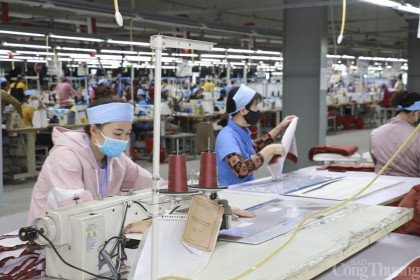 Nghệ An: Doanh nghiệp dệt may thích nghi với trạng thái “bình thường mới”