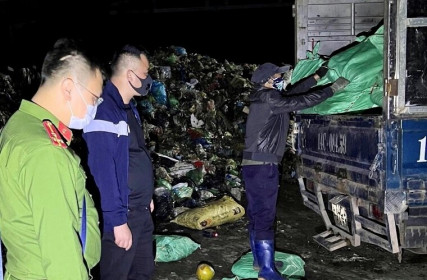 Quảng Ninh: Tiêu hủy hơn 4 tấn chân gà đông lạnh không rõ nguồn gốc