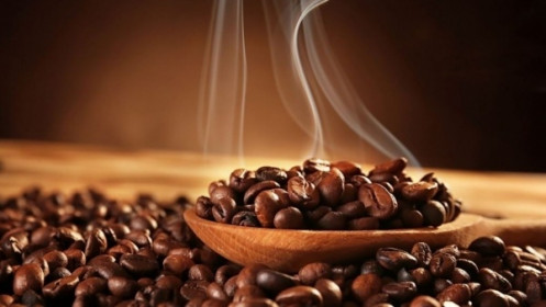Giá cà phê hôm nay 17/11, Robusta thêm một phiên giảm mạnh, người trồng nên tính liên kết để đảm bảo lợi ích