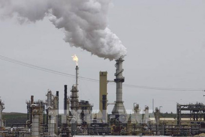 Mỹ: Các nhà máy lọc dầu hoạt động gần 88% công suất