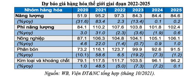 Áp lực lạm phát 2021-2022 và khuyến nghị
