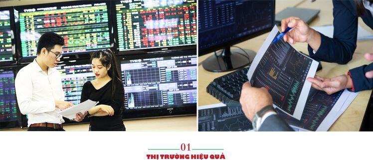Chân dung thị trường qua con mắt tài chính hành vi
