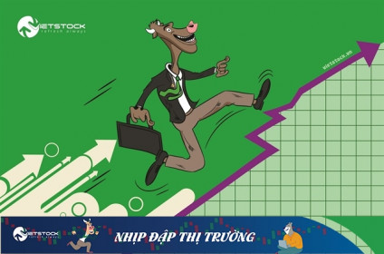 Nhịp đập Thị trường 26/11: VN-Index đánh mất mốc 1,500 điểm