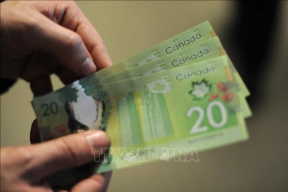 Giới chuyên gia lo ngại về tình trạng lạm phát và chi tiêu của Chính phủ Canada