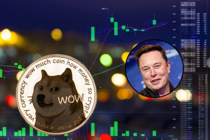 Elon Musk ủng hộ cảnh báo về giao dịch đòn bẩy với Dogecoin (DOGE)