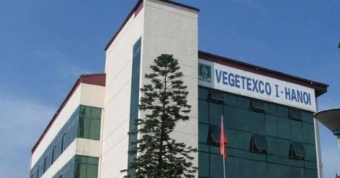 Tổng công ty Rau quả Nông sản (Vegetexco) dòng tiền âm 1.788 tỷ đồng