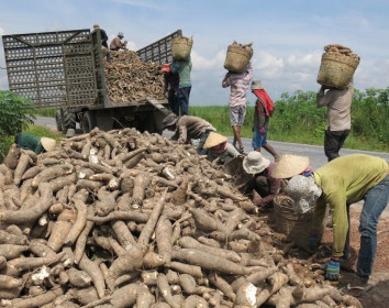 Nguyên nhân mới từ Trung Quốc, nông sản Việt nguy cơ dồn ứ cửa khẩu dài hơn