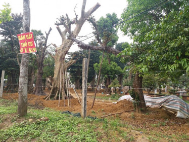 Ngoại thành Hà Nội: Nở rộ đất phân lô bán nền trái quy định