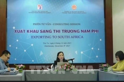 Doanh nghiệp Việt tìm kiếm cơ hội xuất khẩu hàng hóa sang Nam Phi