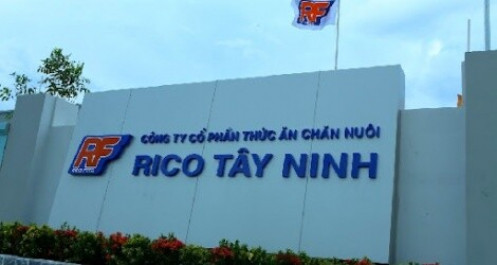 BAF Việt Nam thông qua phương án mua lại 99% vốn RICO Tây Ninh