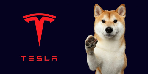 Elon Musk tuyên bố Tesla sẽ chấp nhận thanh toán bằng Dogecoin (DOGE)