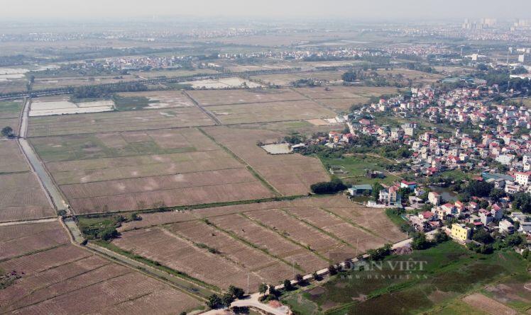 Cận cảnh Khu đô thị Mỹ Hưng thành nơi chăn trâu, thả vịt, chưa rõ chủ đầu tư ở Hà Nội