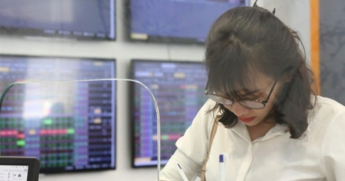 APS báo lãi 520 tỷ đồng sau 11 tháng