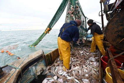 EU đồng thuận về hạn ngạch đánh bắt cá năm 2022