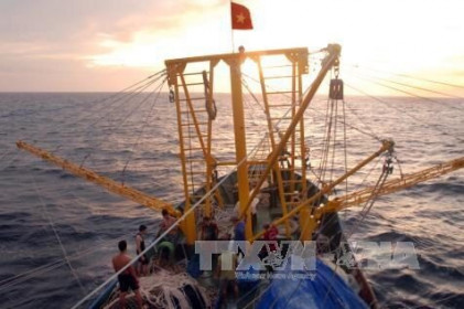 Việt Nam đề xuất sớm hoàn thành xây dựng Bộ quy tắc về khai thác khoáng sản dưới đáy biển