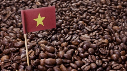 Giá cà phê hôm nay 15/12, Một năm khó khăn đối với cà phê Brazil, robusta được dự báo còn tăng mạnh