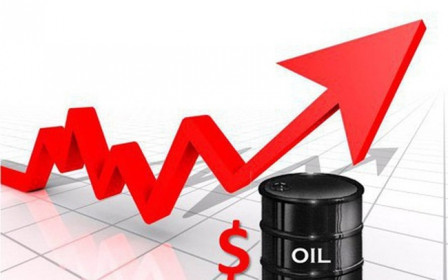 Kỳ vọng vào nhu cầu cao trong năm 2022 đẩy giá dầu quay đầu tăng mạnh