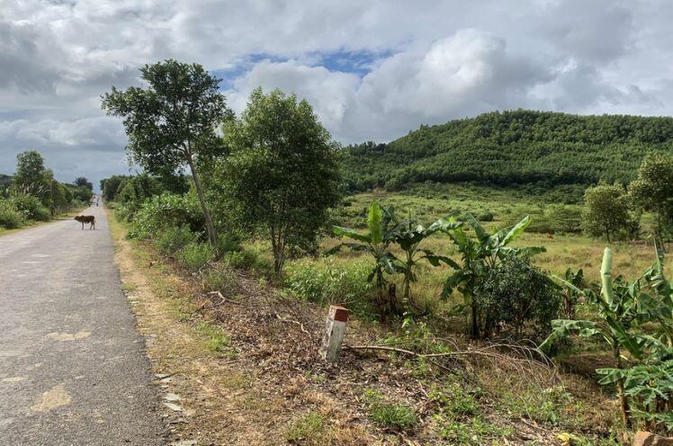 Sốt đất ở Ninh Hòa