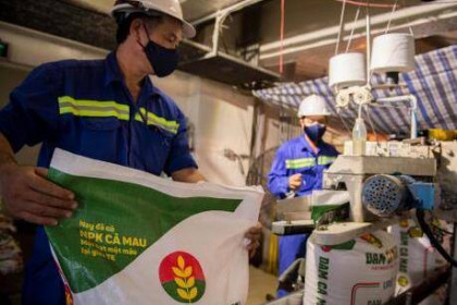 DCM đặt mục tiêu lợi nhuận sau thuế đạt hơn 513 tỷ đồng trong năm 2022