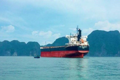 Hòa Phát mua thêm tàu tải trọng hơn 80.000 tấn chuyên chở than, quặng