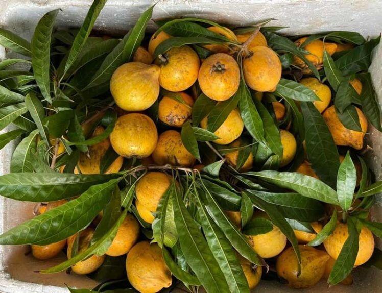 Siêu thực phẩm Amazon bán 1,5 triệu/kg, chợ Việt chỉ 15.000 đồng