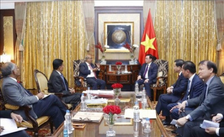 Hinduja Group mạnh ra sao?