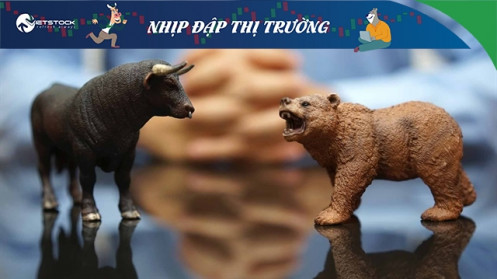 Nhịp đập Thị trường 20/12: Nhà đầu tư đang chờ đợi tín hiệu mới từ thị trường