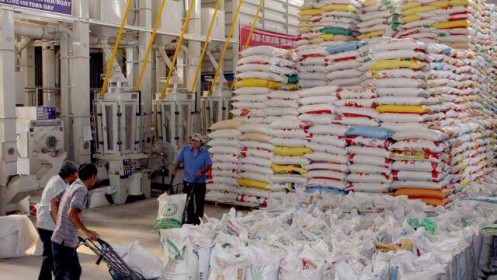 VCCI đề nghị xem xét lại một số quy định về kinh doanh xuất khẩu gạo