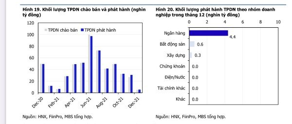 Phát hành trái phiếu doanh nghiệp tháng 12 giảm tốc